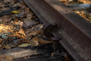 Old Railway Track With Rusted Metal and Fallen Leaves in a Quiet Forest Setting During Autumn
