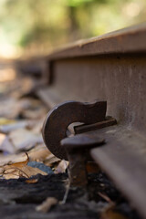 Rusty Railway Tie Connector on a Forgotten Train Track Surrounded by Autumn Leaves in a Serene Landscape