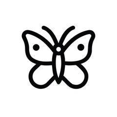 butterfly isolated on white