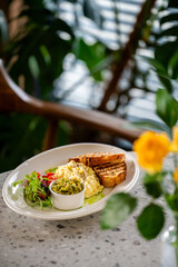 Healthy breakfast plate with scrambled eggs, toast, avocado, salad, and cucumber on a rustic table with plants and flowers in cozy natural light setting.