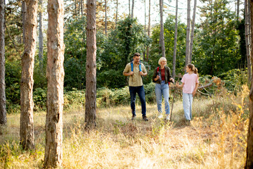 Family enjoys a nature walk through a forest on a sunny day