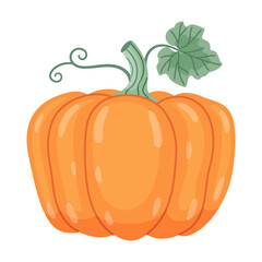 Autumn pumpkin. Hand drawn trendy flat style isolated on transparent background. for Halloween or Thanksgiving stickers, menus, apps, posters, design. Vector illustration