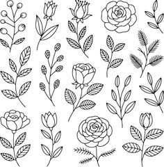 Hand drawn botanical elements featuring flowers and leaves in sketch style