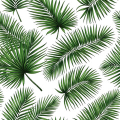 Lush green palm fronds scattered on a black background