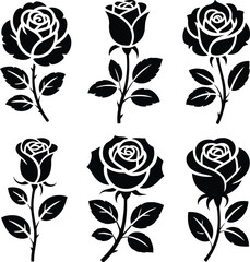 Collection of six black and white rose illustrations with textured details
