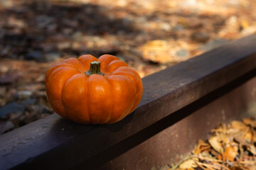 Bright Orange Pumpkin Resting on a Wooden Rail Surrounded by Fallen Leaves During Autumn in a Serene Park Setting