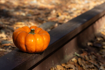 Harvest Season Brings a Bright Orange Pumpkin Resting on a Wooden Rail Surrounded by Autumn Leaves in a Peaceful Outdoor Setting