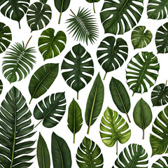 Tropical leaf collection with diverse green foliage