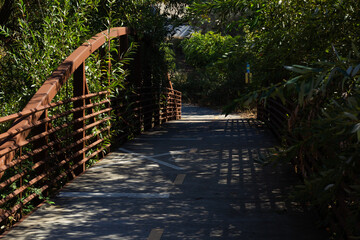 Quiet Pathway With a Wooden Bridge Surrounded by Greenery Near a Sunny Forested Area