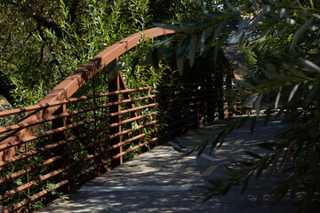 Quiet Footbridge Surrounded by Greenery in a Serene Park on a Sunny Day