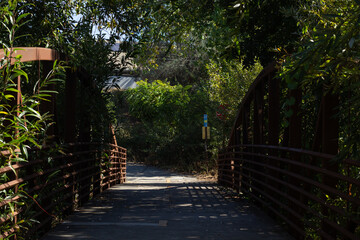 Scenic Wooden Bridge Leading Into Lush Green Foliage on a Bright Sunny Day