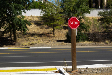 Stop Sign Stands Alone by the Road Amidst Trees and Dry Grass on a Sunny Day