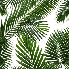 Obraz premium Lush green palm leaves, tropical foliage, dark background