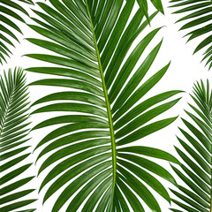 Vibrant green palm leaves against a black background, close-up view