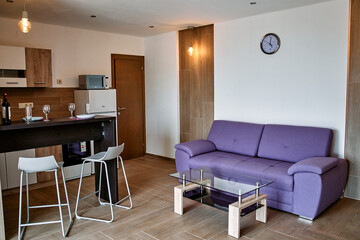 A Welcoming Living Space Featuring Modern Furniture, Cozy Sofa, Elegant Lighting, and Thoughtful Decor for a Contemporary Home Atmosphere