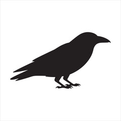 robin bird ,vector illustration , black silhouette