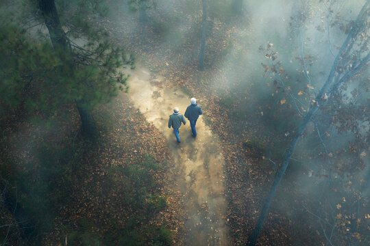 Two people walking along a misty autumn forest path at sunrise — peaceful nature stroll with fall leaves, dappled light and tranquil woodland atmosphere - Powered by Adobe