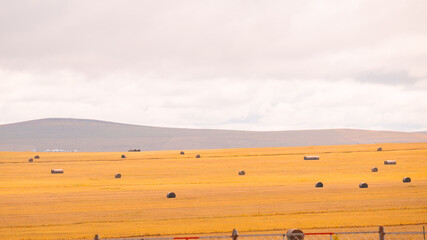 desert landscape with a blue sky