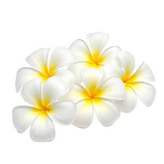 Naklejka premium A cluster of white, tropical flowers with yellow centers on a transparent background