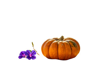 Pumpkin decoration on tropical beach under palm tree, autumn thanksgiving holiay spec 