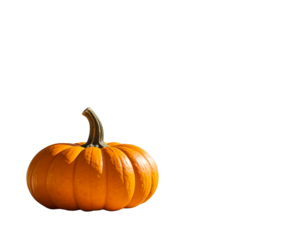Pumpkin decoration on tropical beach under palm tree, autumn thanksgiving holiay spec