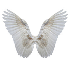 Fototapeta premium A symmetrical image of outstretched, pure white feathered wings against a stark black backdrop