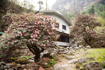 Small villages along EBC trek, Nepal