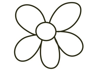 flower isolated on white