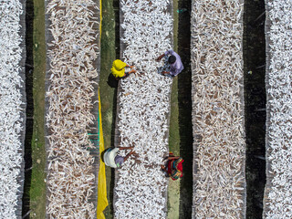 Cox's Bazar, Bangladesh - 17 August 2023: Aerial view of rows of drying fish shimmer under the sun, as workers in vibrant clothes tend to their harvest.