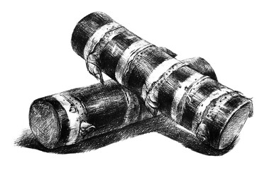 sugar cane hand drawing engraving illustration isolated on white background	
