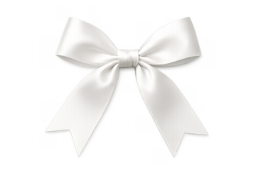 White satin ribbon bow knot decorating gift present