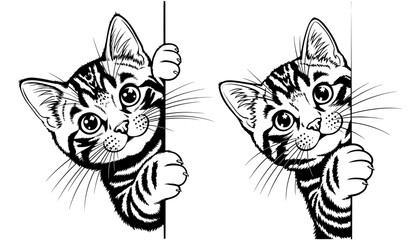 Vector art of two cute kittens peeking around the corner, vector illustration