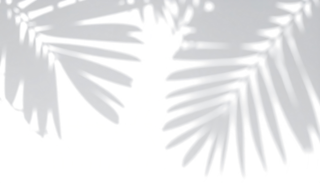 Realistic tropical leaf shadow overlay effect with summer sunlight, tranparent background. - Powered by Adobe