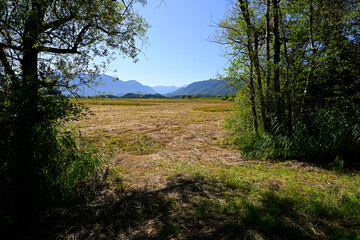Rad-Wanderweg im Murnauer Moos - Bayern, Deutscxhland