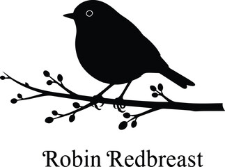 Whispers of Spring: Robin Redbreast
