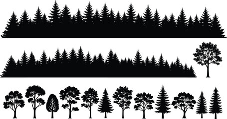 Tree silhouettes, forest rows, pine trees, fir trees, deciduous trees, tree comparison, natu\st, tree set
