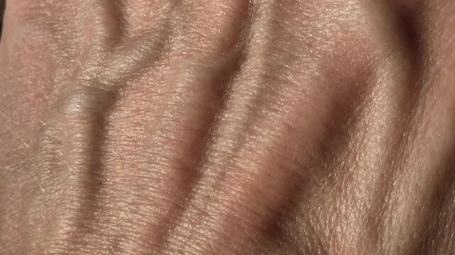 Close-up of the skin texture of a man's hand with deep pores and veins