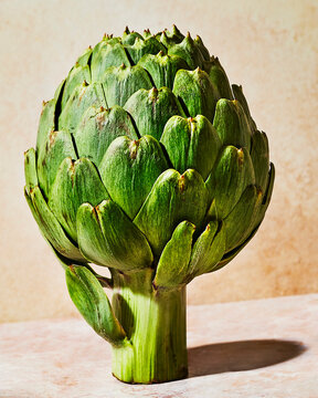 artichoke still life