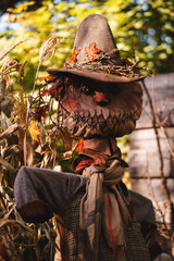 Rustic Autumn Pumpkin Scene with Scarecrow
