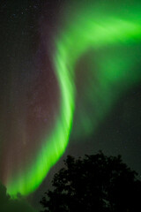 Aurora borealis Northern Lights fully covered the sky. Lapland amazing scenery