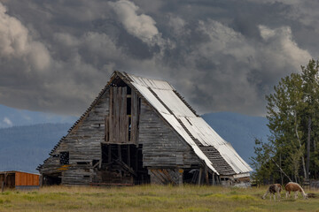 "Idaho Storm Building"