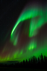 Aurora borealis Northern Lights fully covered the sky. Lapland amazing scenery