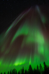 Aurora borealis Northern Lights fully covered the sky. Lapland amazing scenery