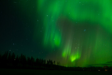 Aurora borealis Northern Lights fully covered the sky. Lapland amazing scenery