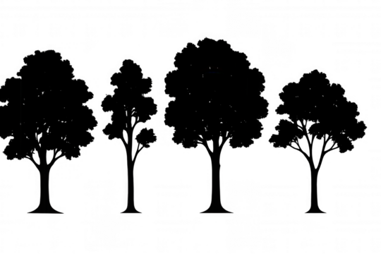 Tree silhouette collection with various shapes and sizes, graphic element for outdoor scene or nature design, transparent background