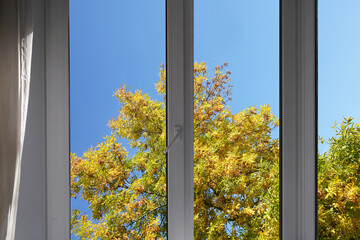 View from the window on the park, garden yellow autumn trees.