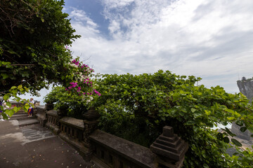 Lush green garden with a stone wall and a stone bench