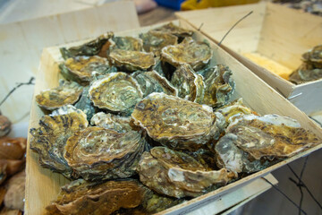 Frischer Muscheln © Sabrina