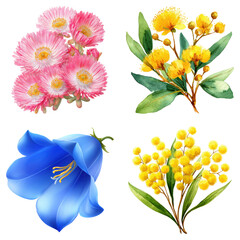 Assorted floral bouquet arrangement, watercolor style on transparent background