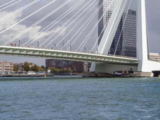 Erasmus Bridge in Rotterdam over the Maas River, modern Dutch architecture and urban landmark under cloudy sky